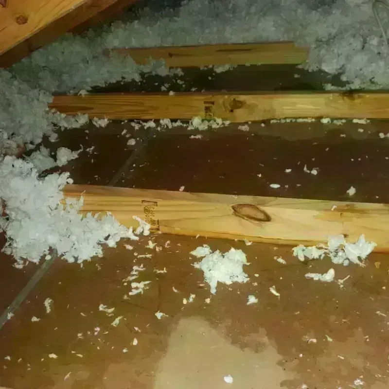 Attic Water Damage in Maynard, MA