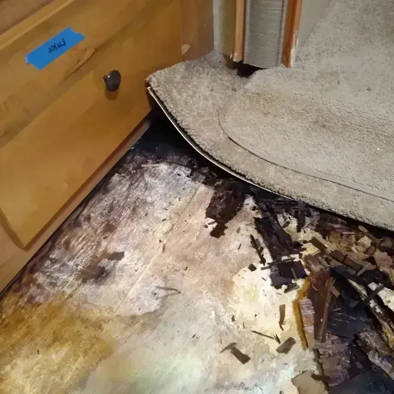 Best Wood Floor Water Damage Service in Maynard, MA